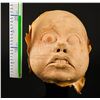 Image 14 : STAR WARS: RETURN OF THE JEDI (1983) - Ewok Mask and Fur Set