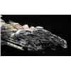 Image 13 : STARSHIP TROOPERS (1997) - Battle-Damanged Federation Corvette Transport Model Miniature