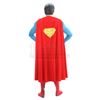 Image 4 : SUPERMAN (1978); SUPERMAN II (1980) - Superman (Christopher Reeve) Costume Display