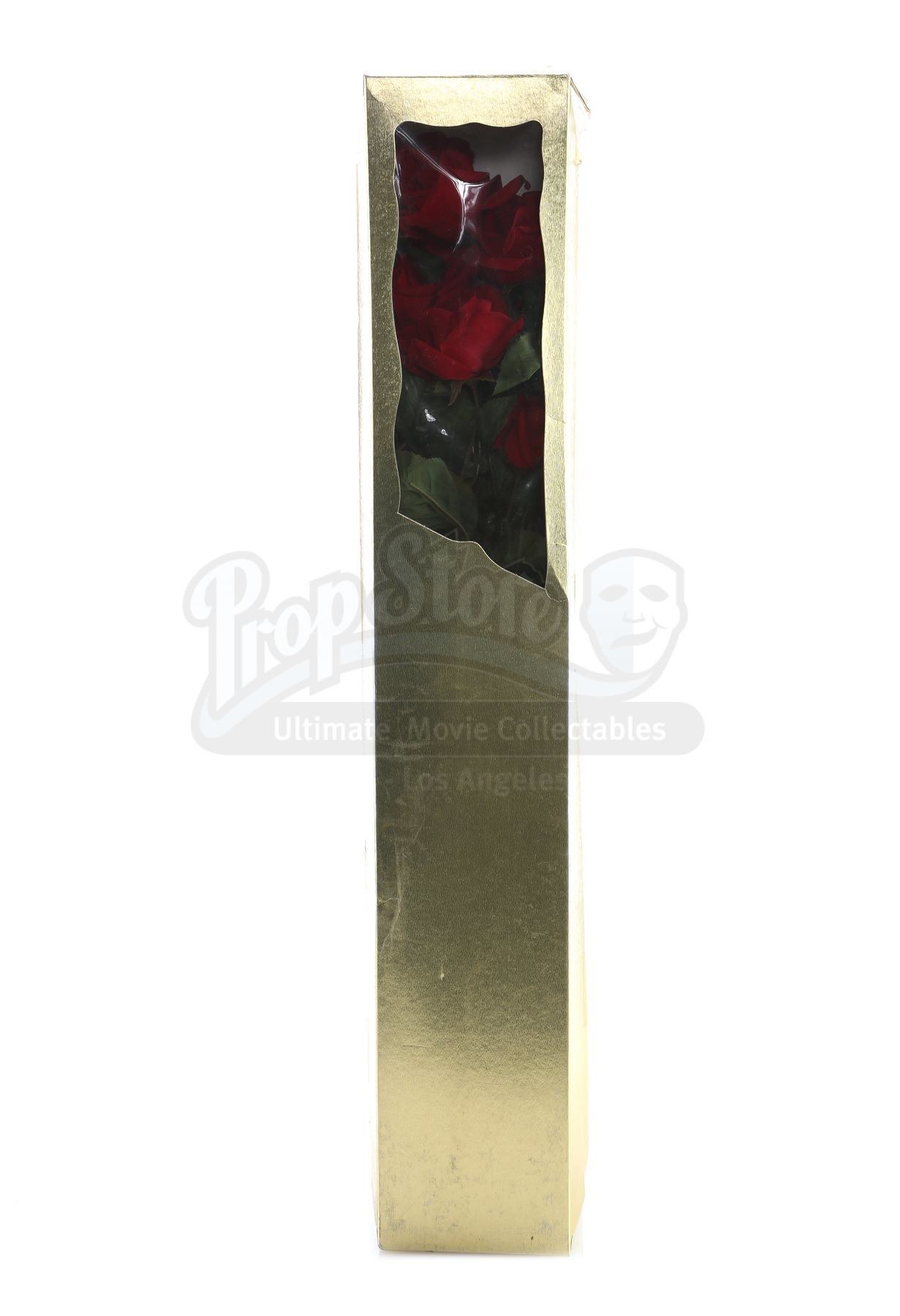 Terminator Roses TERMINATOR 2: JUDGEMENT DAY (1991) - The Terminator's (Arnold ...