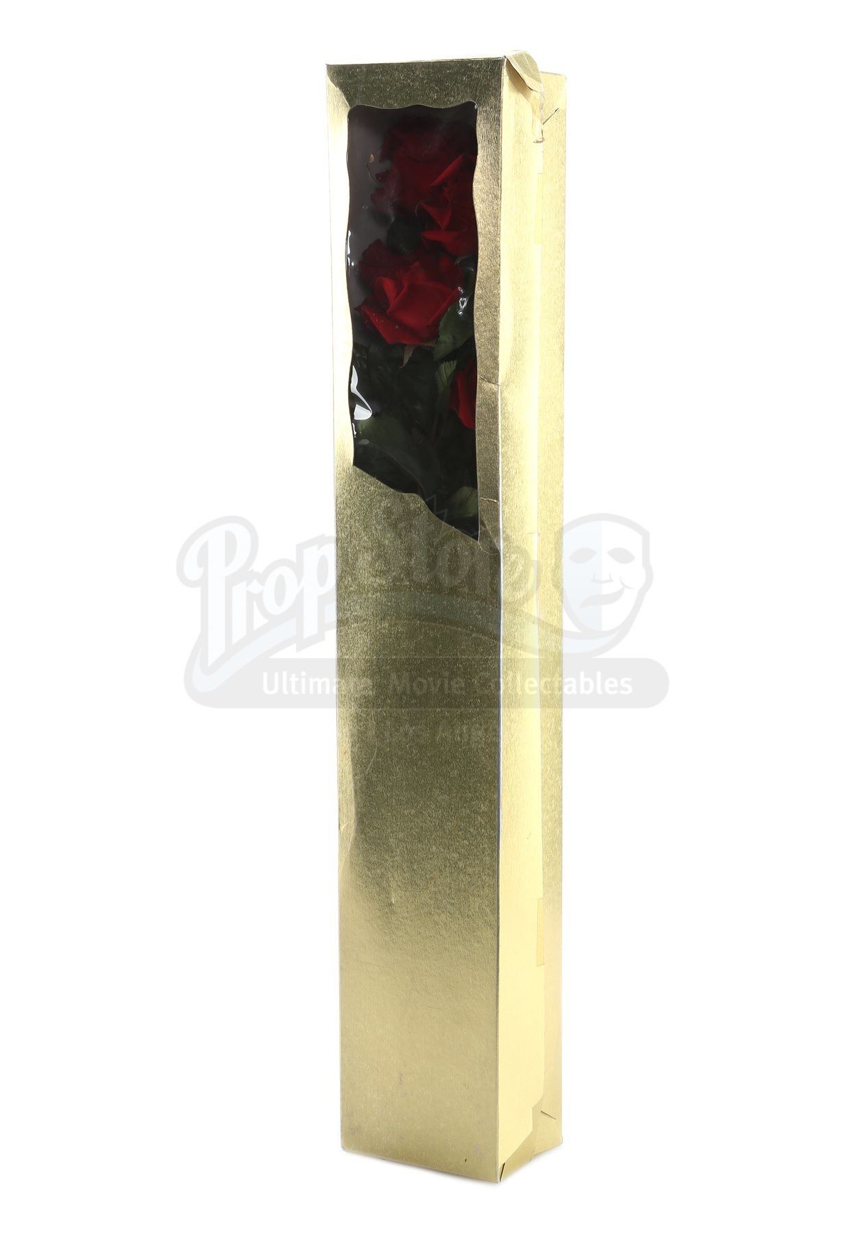 Terminator Roses TERMINATOR 2: JUDGEMENT DAY (1991) - The Terminator's (Arnold ...