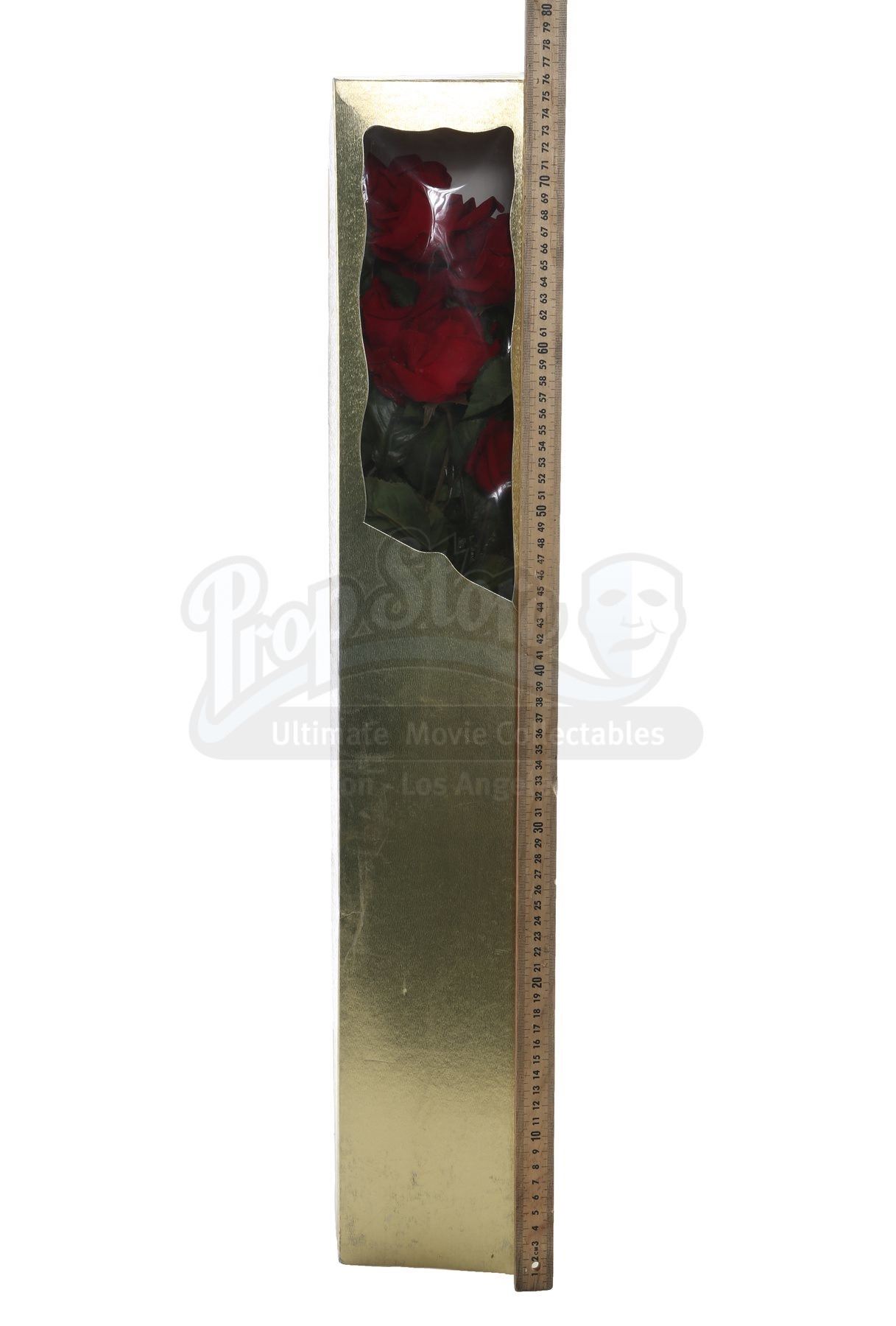 Terminator Roses TERMINATOR 2: JUDGEMENT DAY (1991) - The Terminator's (Arnold ...