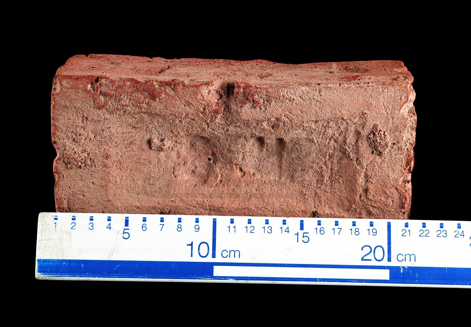 WHO FRAMED ROGER RABBIT (1988) - Acme Warehouse Brick