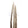 Image 8 : X-MEN ORIGINS: WOLVERINE (2009) - Young Logan's (Troye Sivan) Stunt Bone Claws