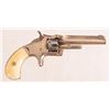 Image 1 : S&W .22 Tip Up Revolver