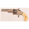 Image 2 : S&W .22 Tip Up Revolver
