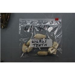 Bag of Walrus Teeth