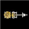 Image 2 : 1.50 CTW Certified Intense Yellow SI Diamond Solitaire Stud Earrings 10K White Gold - REF-192M2H - 3