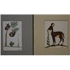 Image 1 : TWO TESUQUE INDIAN PAINTINGS (VIGIL)