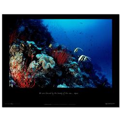 Undersea Garden by Wyland