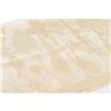 Image 3 : Salvatore Ferragamo Ivory Sheer Silk Print Scarf