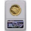 Image 2 : 2015-W $100 American Liberty High Relief Gold Coin NGC MS70