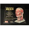 Image 1 : Vintage Renwal "The Visible Head" Assembly Kit Used- Model-Educational Project