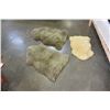 Image 1 : 3 SHEEP SKINS