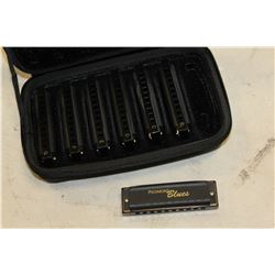 HARMONICA SET IN CASE