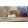 Image 3 : PET CAGE