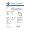 Image 3 : 2.3 CTW VS/SI Diamond Micro Pave 3 Stone Ring 18K Yellow Gold - REF-263T6M - 36958