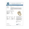 Image 3 : 3.5 CTW Princess VS/SI Diamond Solitaire Micro Pave Ring 18K Yellow Gold - REF-581N8Y - 37168