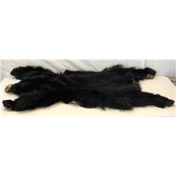 Black Bear Hide With Claws