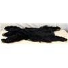 Image 1 : Black Bear Hide With Claws