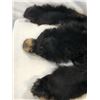 Image 2 : Black Bear Hide With Claws