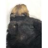 Image 5 : Black Bear Hide With Claws