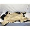 Image 9 : Black Bear Hide With Claws