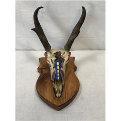 Hand Painted Antelope Skull
