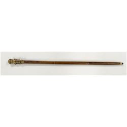 Unusual Walking Cane.