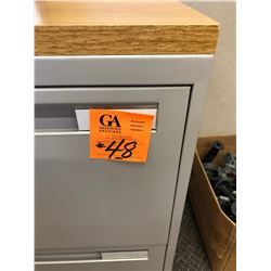 1 Newer Grey 2 Door Lateral File Cabinet w/wood grain top