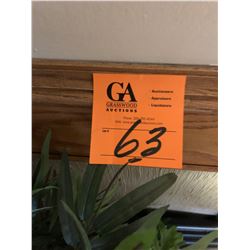 3 Artificial Plants plus table plant