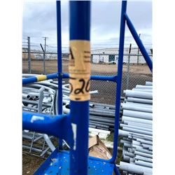 Canway Mobile Ladder