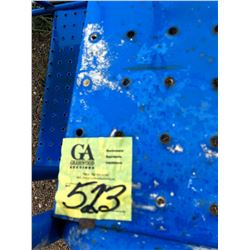 Canway Mobile Ladder