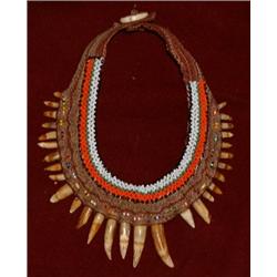 Crocodile Tooth Necklace