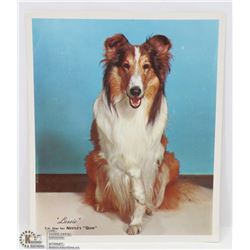 VINTAGE ORIGINAL LASSIE PHOTO TV