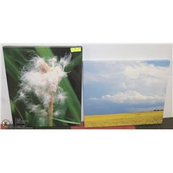 PAIR OF STRETCHED CANVAS PICTURES