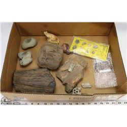 BOX W/ESTATE PETRIFIED WOOD FOSSILS &