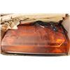 Image 1 : NEW 12 VOLT AMBER LIGHT LED ROOF TOP SIREN