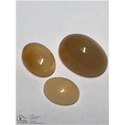 25) GENUINE OPAL GEMSTONE