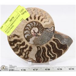 SLICE OF AMMONITE ON STAND 5" TALL 6"WIDE.