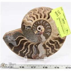 SLICE OF AMMONITE ON STAND 5" TALL 6"WIDE.