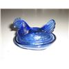 Image 1 : MINI BLUE LAYING HEN