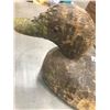 Image 4 : WOODEN DUCK DECOY W/GLASS EYES 13"L
