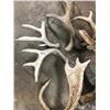 Image 2 : LOT OF DEER SHEDS - 7 PCS