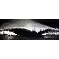 Robert Longo, Wave, Lithograph