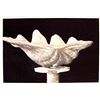 Image 1 : Julio Larraz, Giant Clam, Aquatint Etching