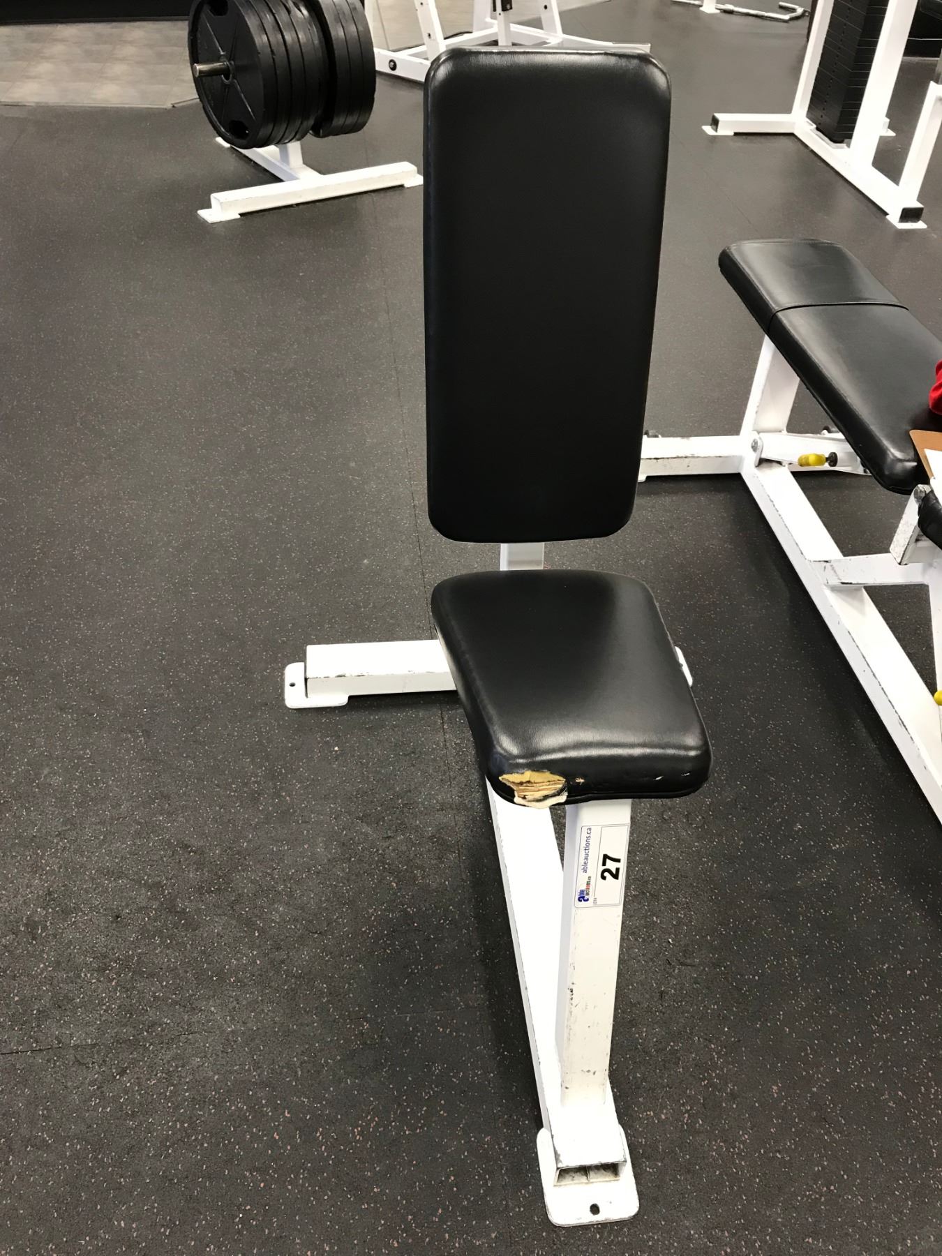 White Apex Seated Weight Bench White Apex Seated Weight Bench