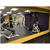 Image 1 : 4 LARGE WALL WORKOUT MIRRORS