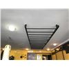 Image 2 : BLACK 16 RUNG CLIMBING BAR