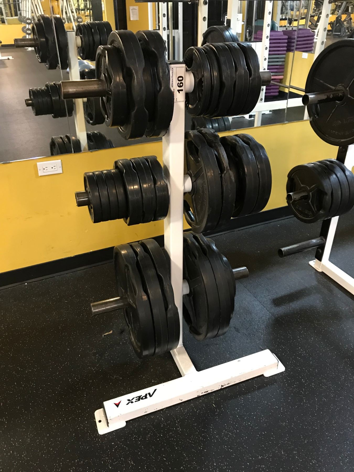 WHITE APEX 3 TIER WEIGHT RACK WITH FREE WEIGHTS